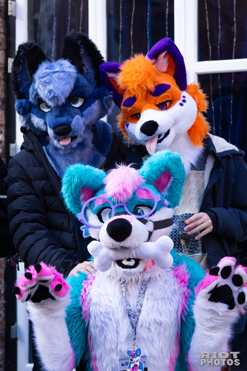 2026-01-10 MancFurs-202601-003.jpg
