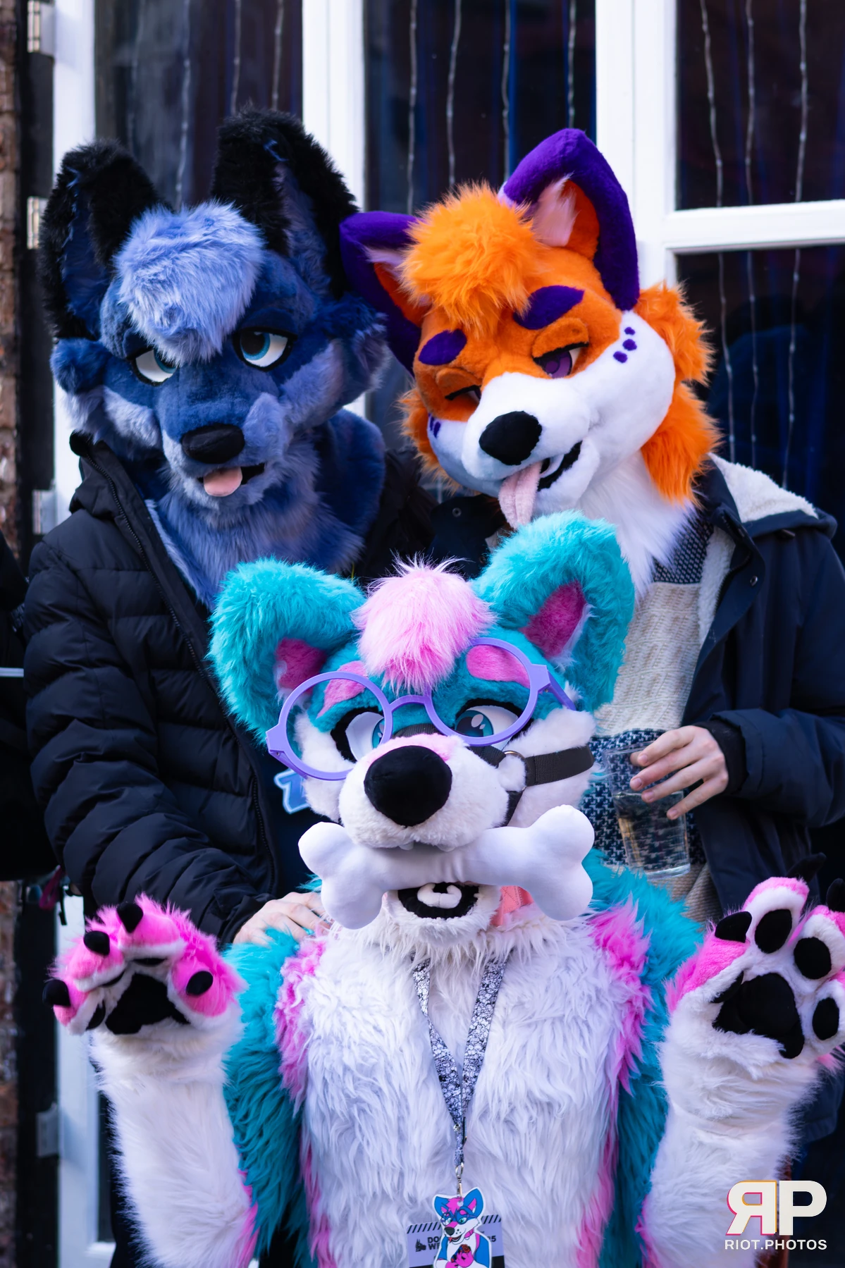 Zaff — furry & pup photography by Fluffy Riot — photo 11