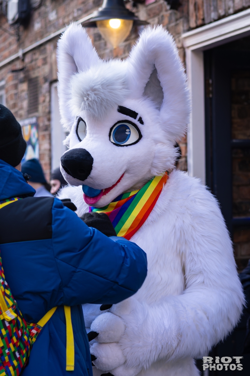 2026-01-10 MancFurs-202601-004.jpg