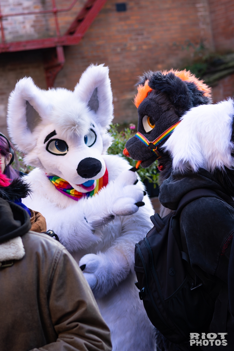 2026-01-10 MancFurs-202601-008.jpg