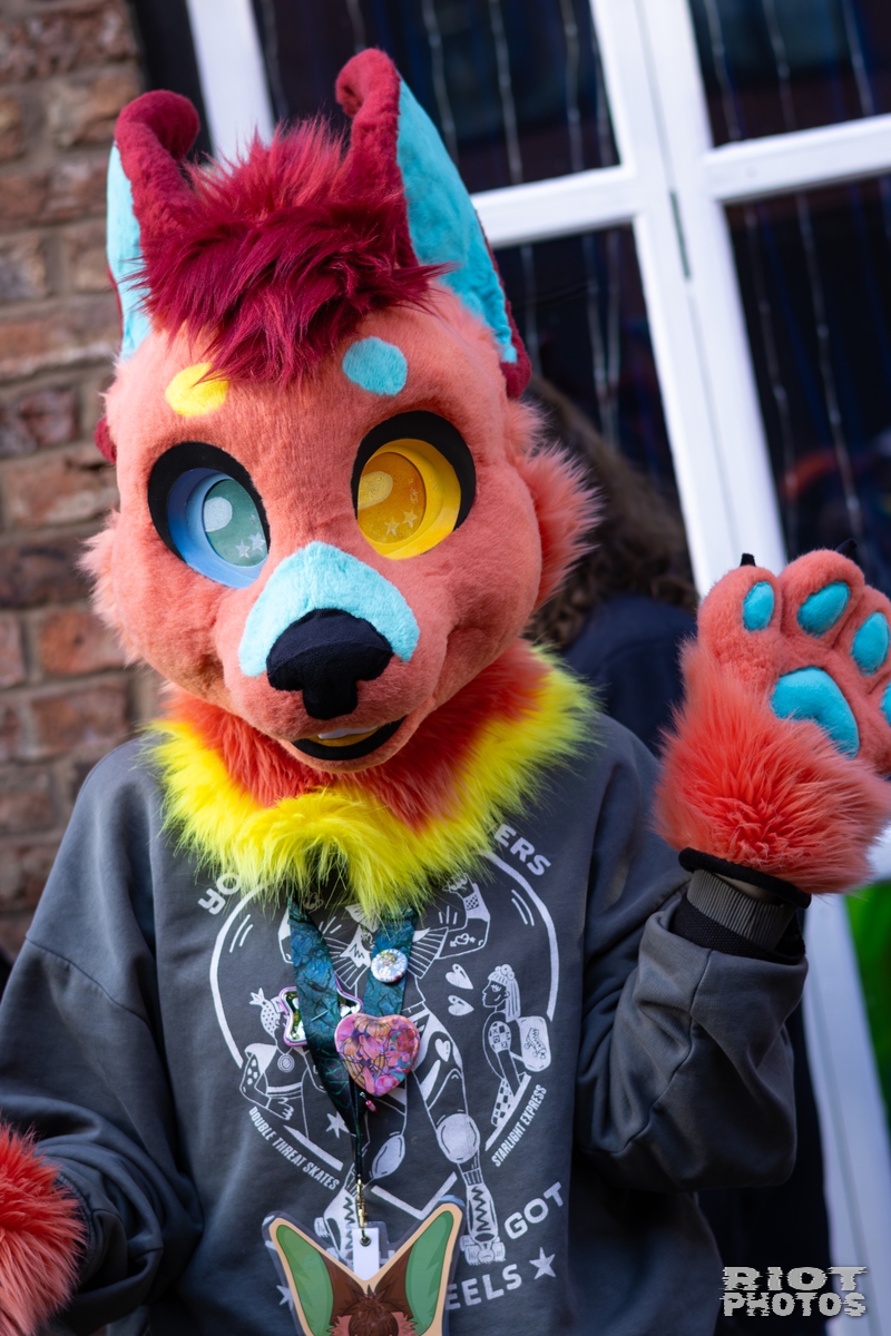 2026-01-10 MancFurs-202601-009.jpg