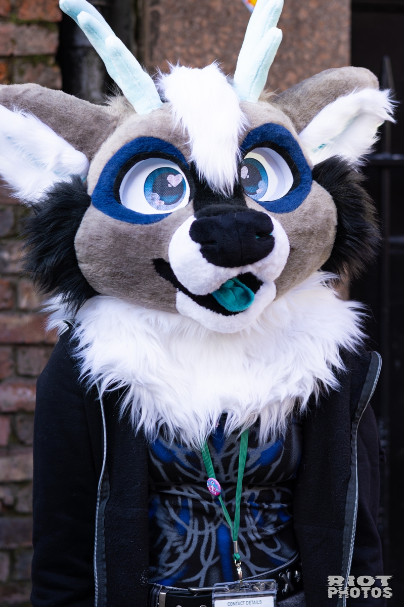 2026-01-10 MancFurs-202601-011.jpg
