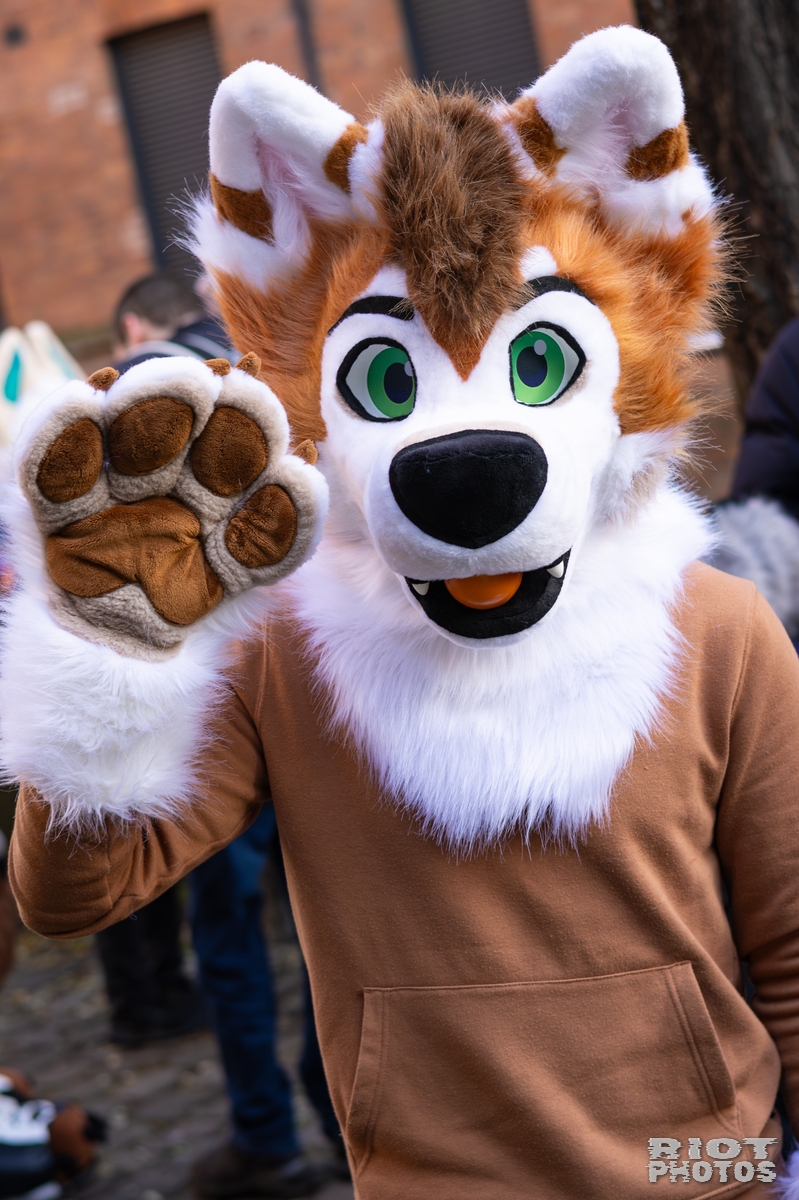 2026-01-10 MancFurs-202601-012.jpg