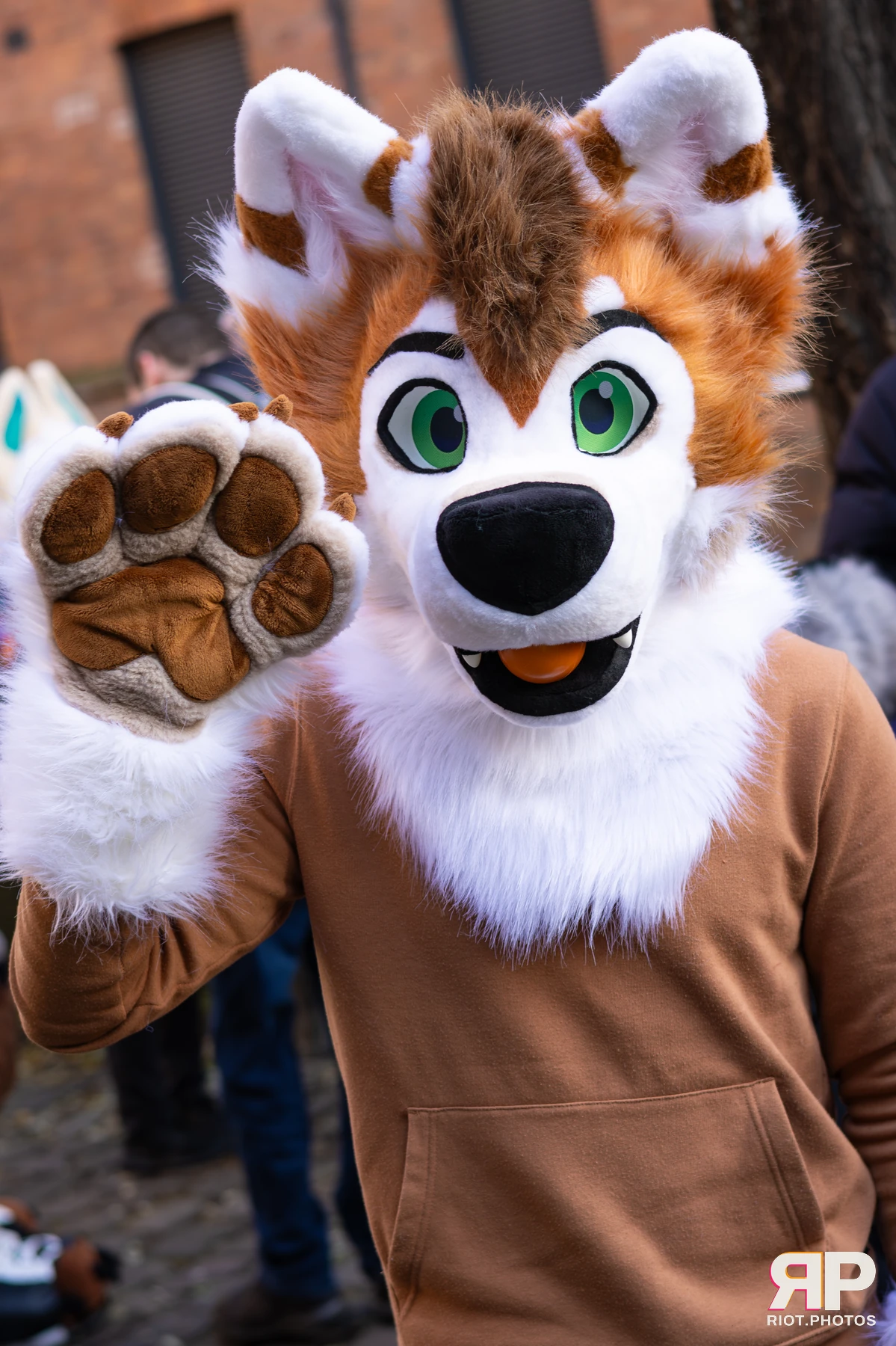 MancFurs - January, 2026 — 10 Jan 2026, Fluffy Riot photography — photo 12