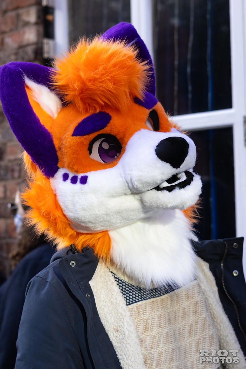 2026-01-10 MancFurs-202601-013.jpg