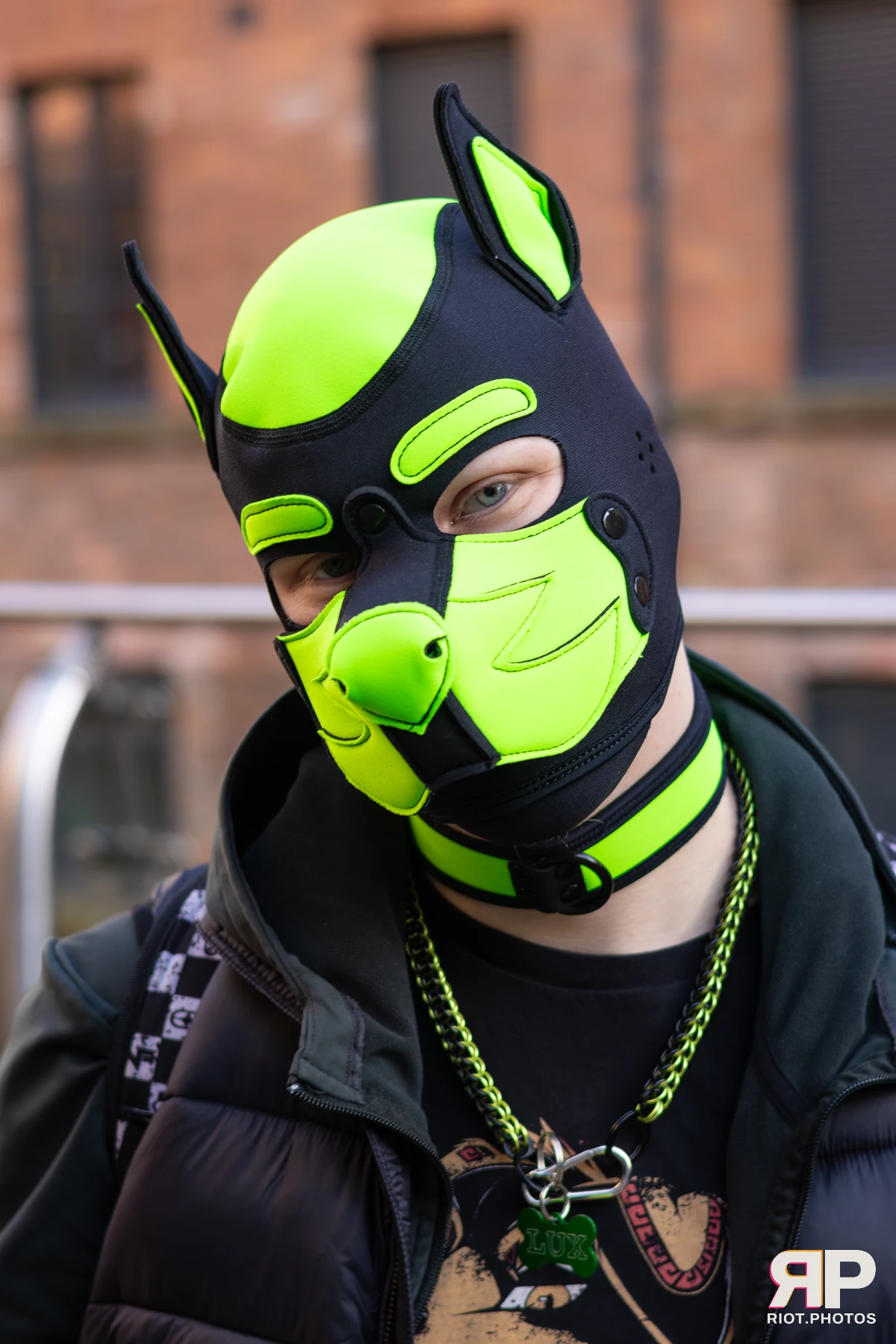 MancFurs - January, 2026 — 10 Jan 2026, Fluffy Riot photography — photo 16
