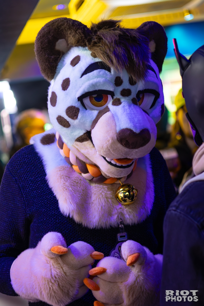 2026-01-10 MancFurs-202601-017.jpg