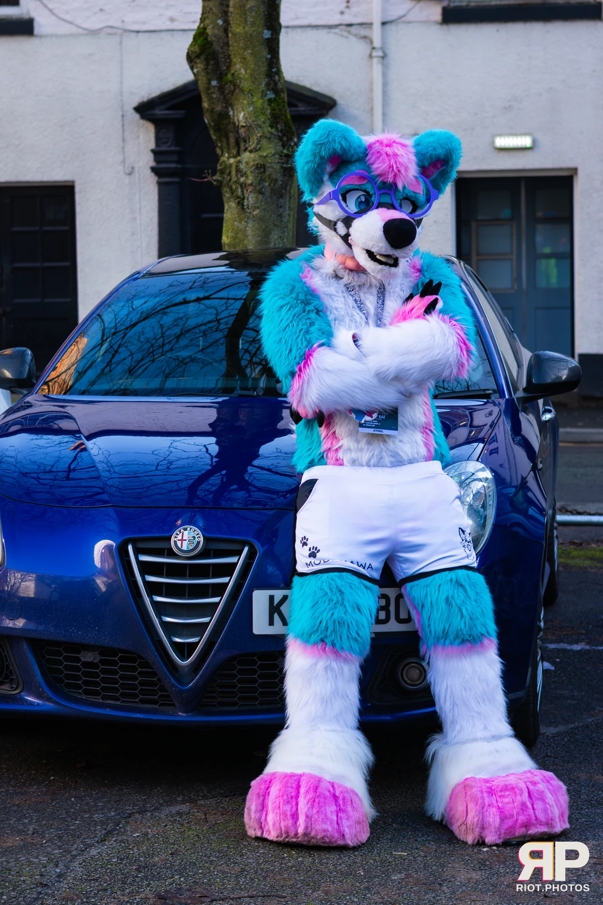 Pup Kaz — furry & pup photography by Fluffy Riot — photo 202