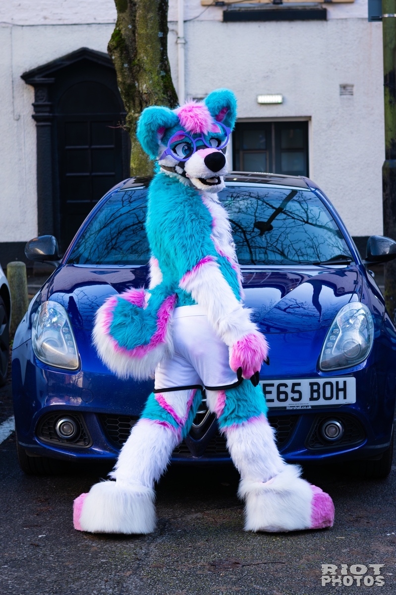2026-01-10 MancFurs-202601-020.jpg