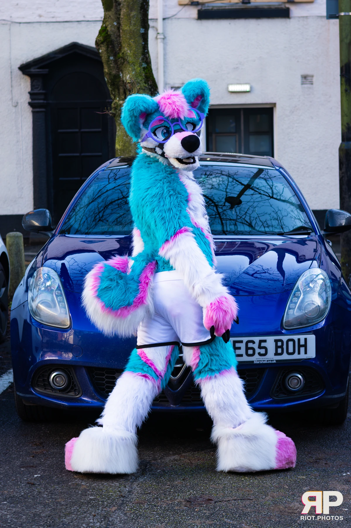 Pup Kaz — furry & pup photography by Fluffy Riot — photo 203