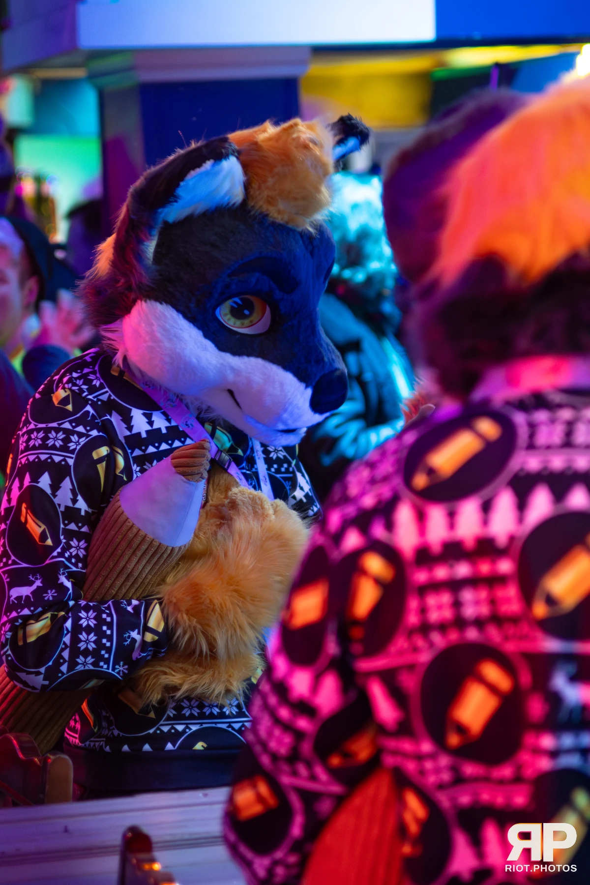 MancFurs - January, 2026 — 10 Jan 2026, Fluffy Riot photography — photo 23