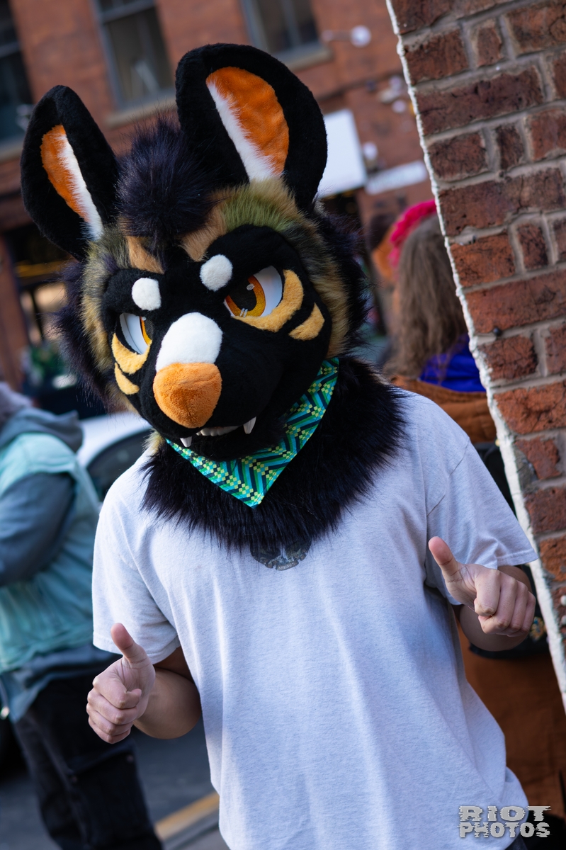 2026-01-10 MancFurs-202601-024.jpg