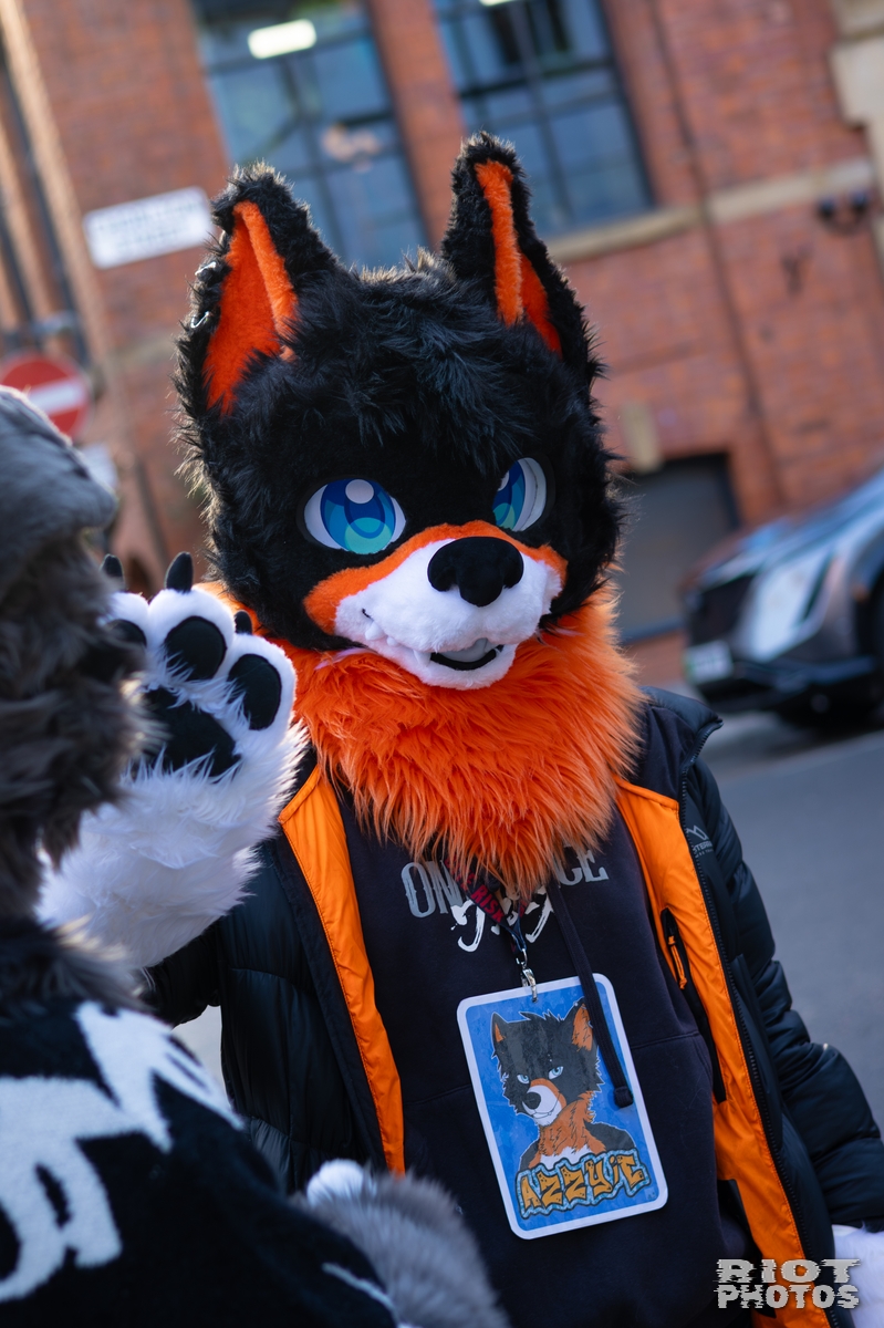 2026-01-10 MancFurs-202601-025.jpg
