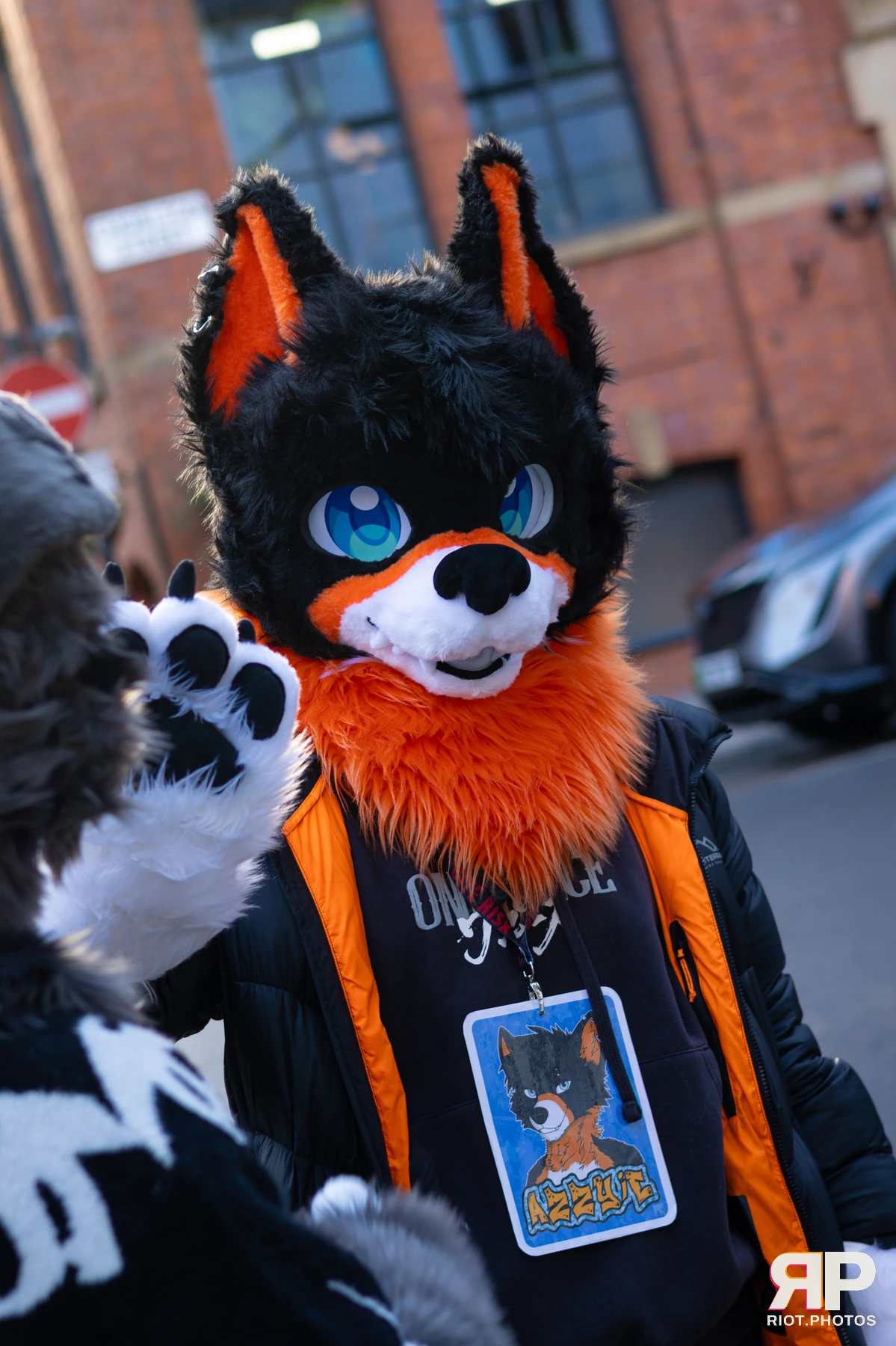MancFurs - January, 2026 — 10 Jan 2026, Fluffy Riot photography — photo 25