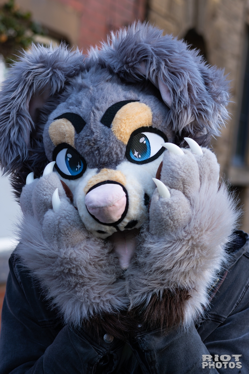 2026-01-10 MancFurs-202601-026.jpg