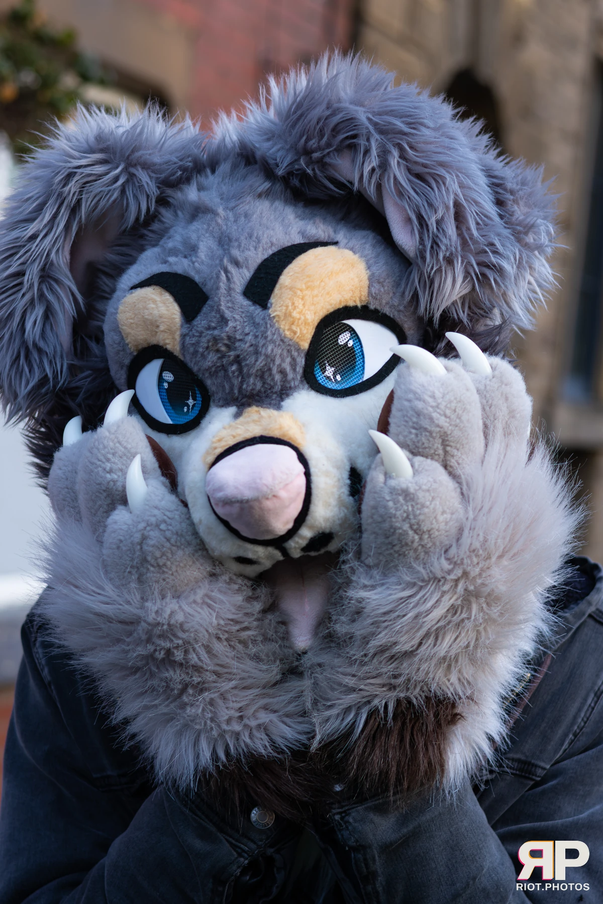 MancFurs - January, 2026 — 10 Jan 2026, Fluffy Riot photography — photo 26