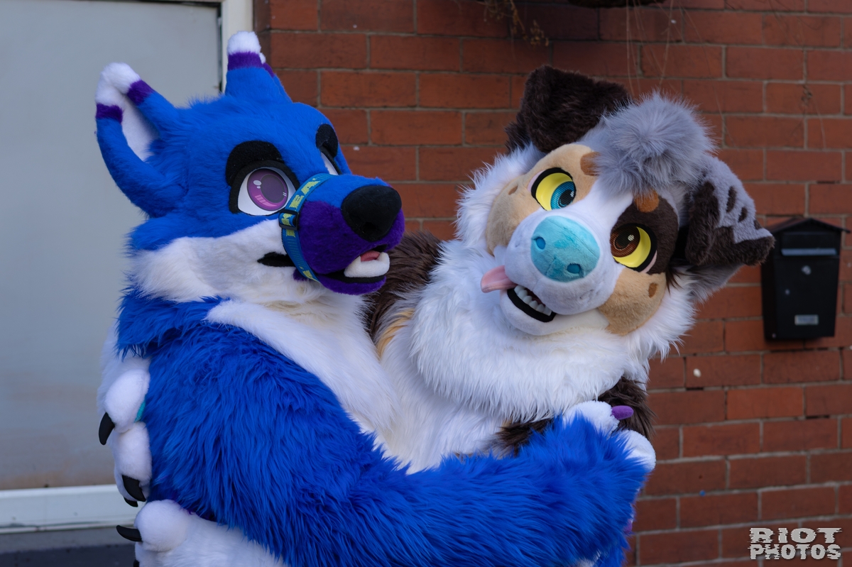 2026-01-10 MancFurs-202601-027.jpg