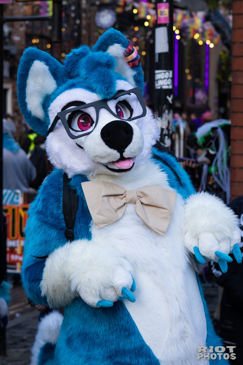 2026-01-10 MancFurs-202601-028.jpg