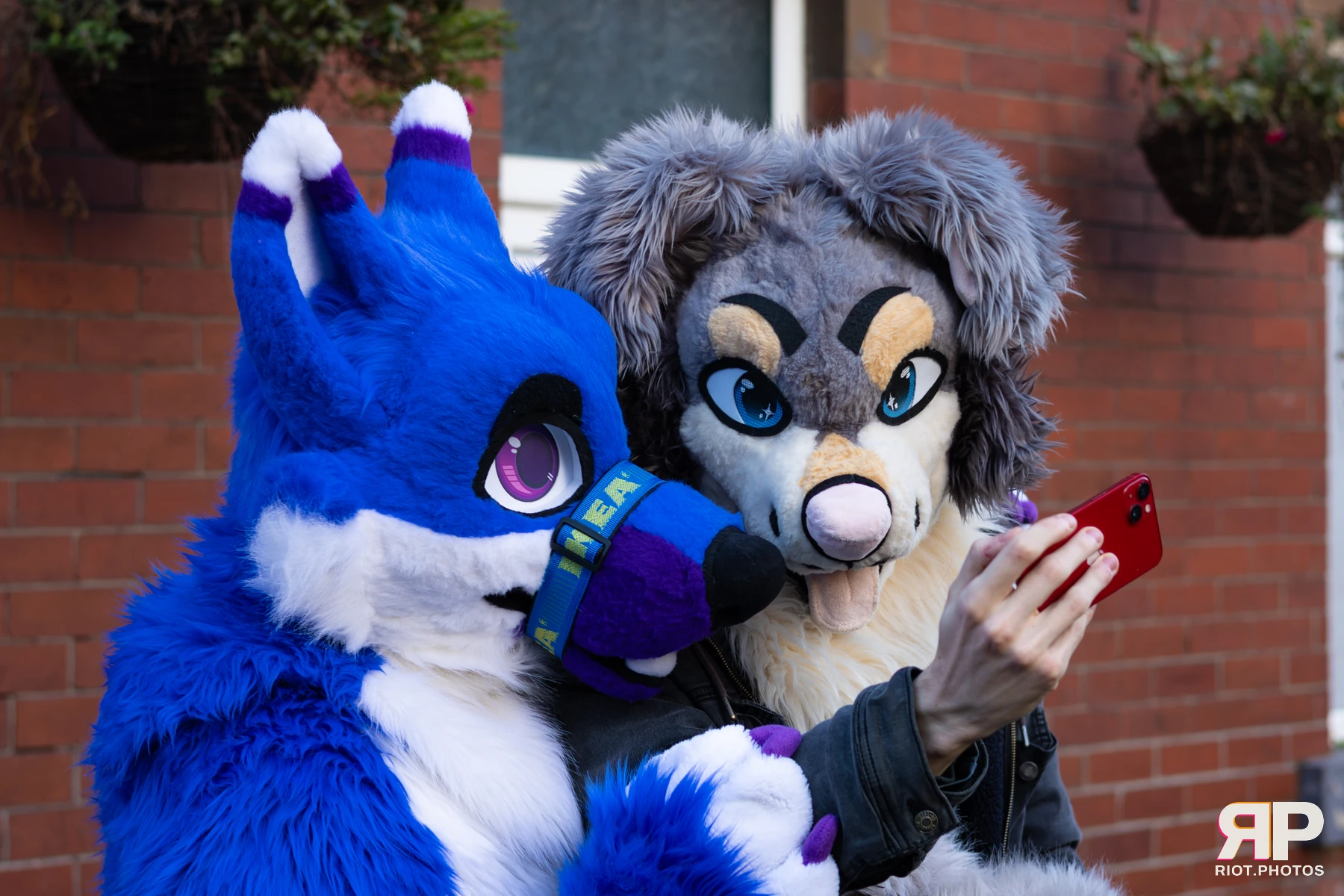 MancFurs - January, 2026 — 10 Jan 2026, Fluffy Riot photography — photo 29