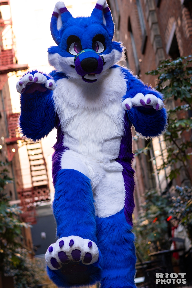 2026-01-10 MancFurs-202601-031.jpg