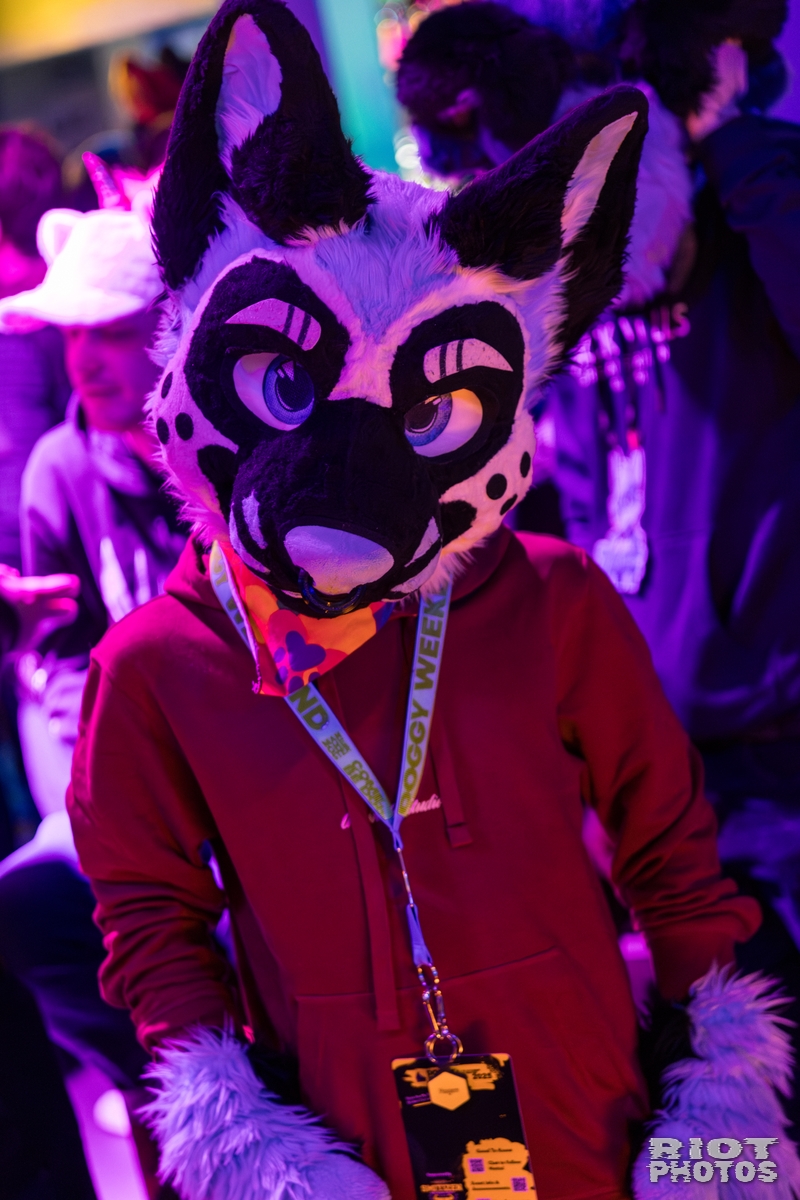 2026-01-10 MancFurs-202601-033.jpg