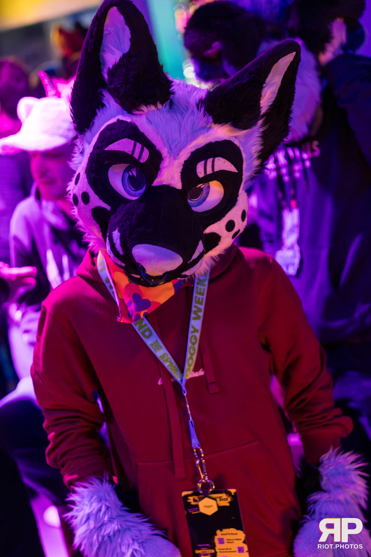 MancFurs - January, 2026 — 10 Jan 2026, Fluffy Riot photography — photo 33