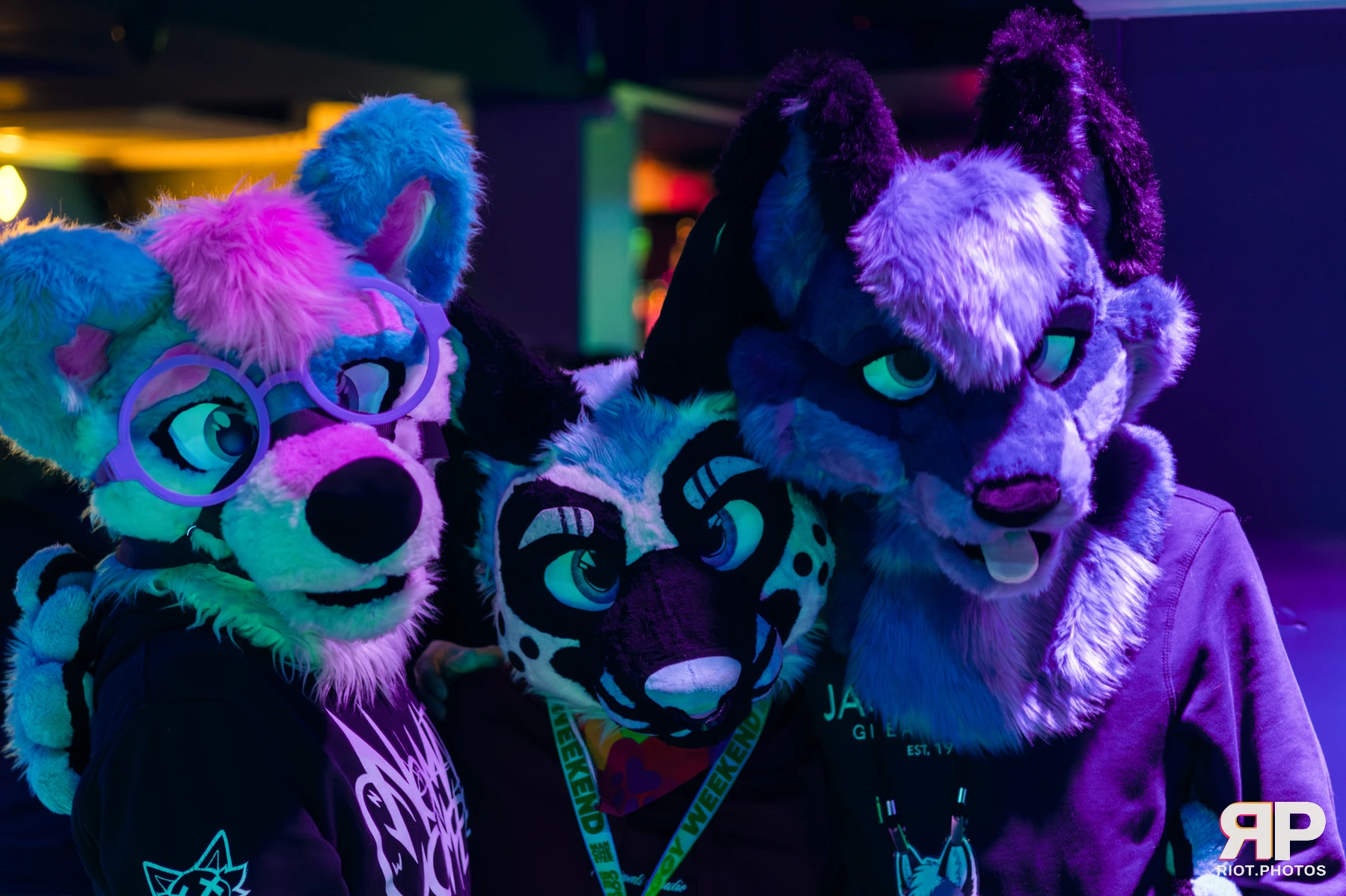 Zaff — furry & pup photography by Fluffy Riot — photo 12