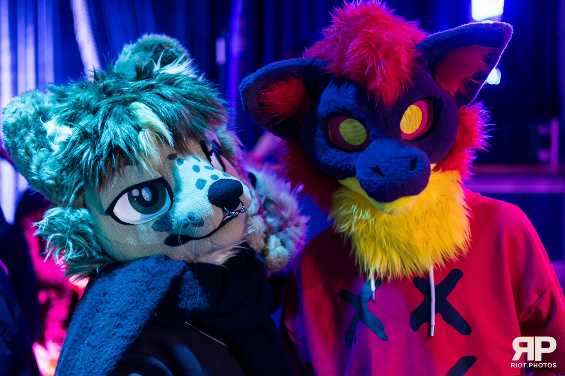 MancFurs - January, 2026 — 10 Jan 2026, Fluffy Riot photography — photo 35
