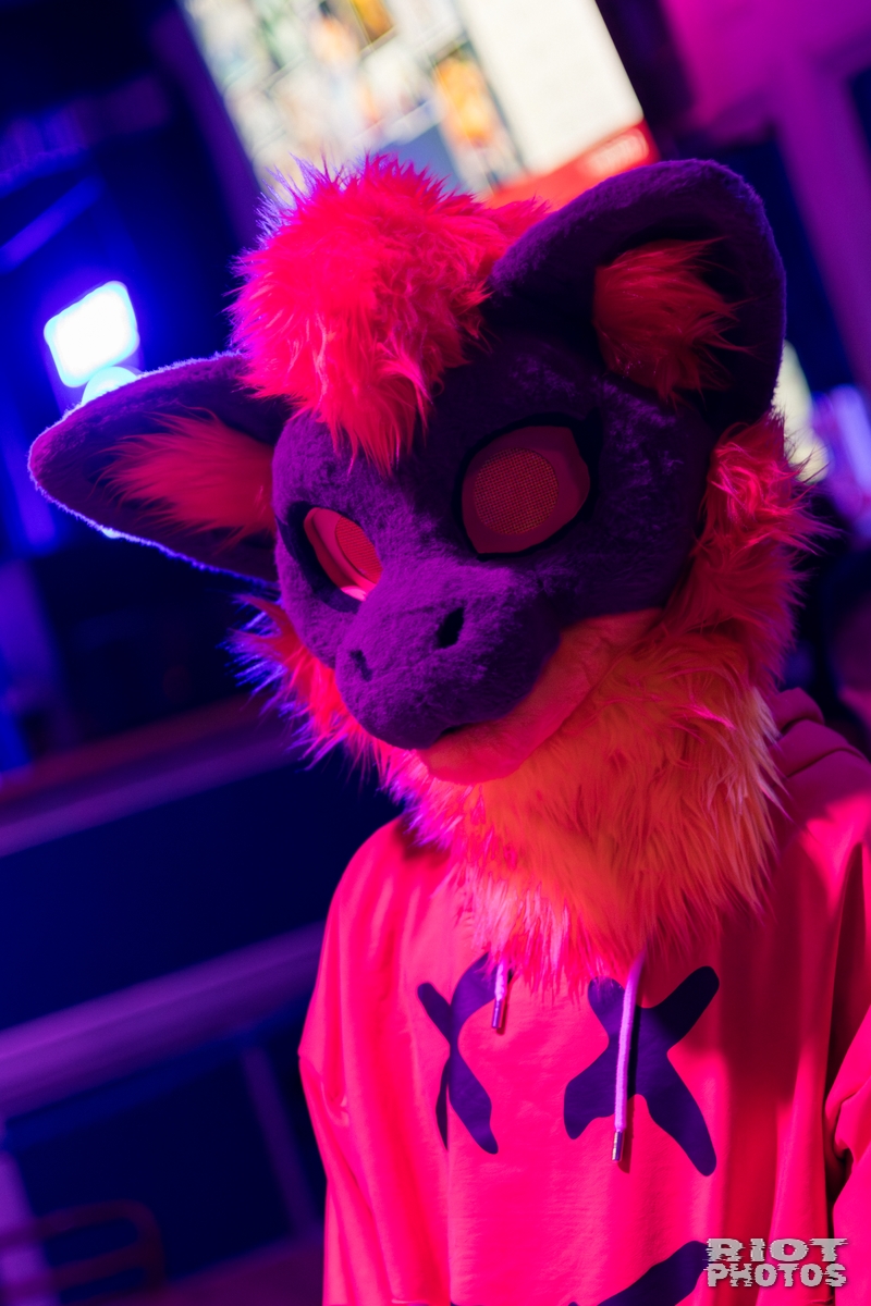 2026-01-10 MancFurs-202601-036.jpg