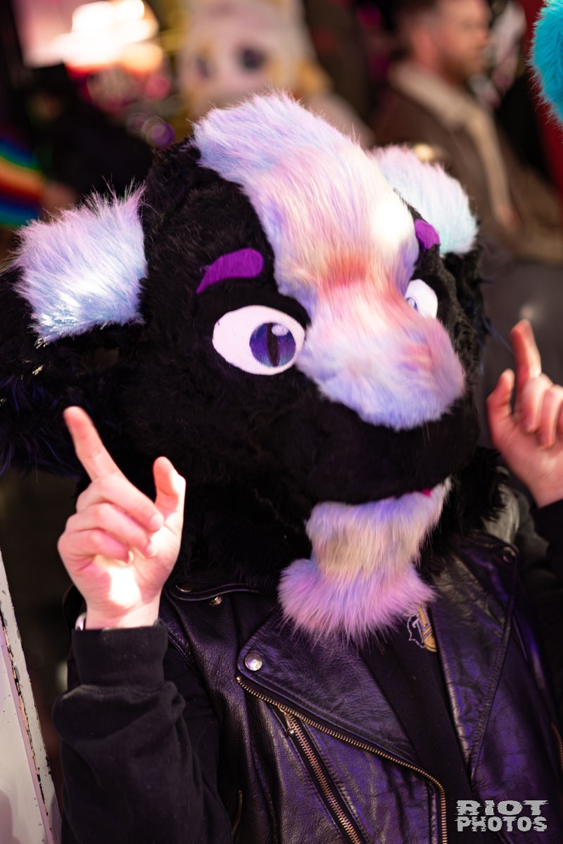 2026-02-14 MancFurs-202602-002.jpg
