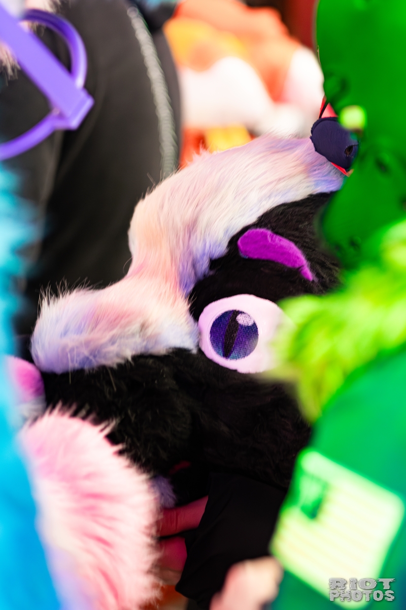 2026-02-14 MancFurs-202602-004.jpg