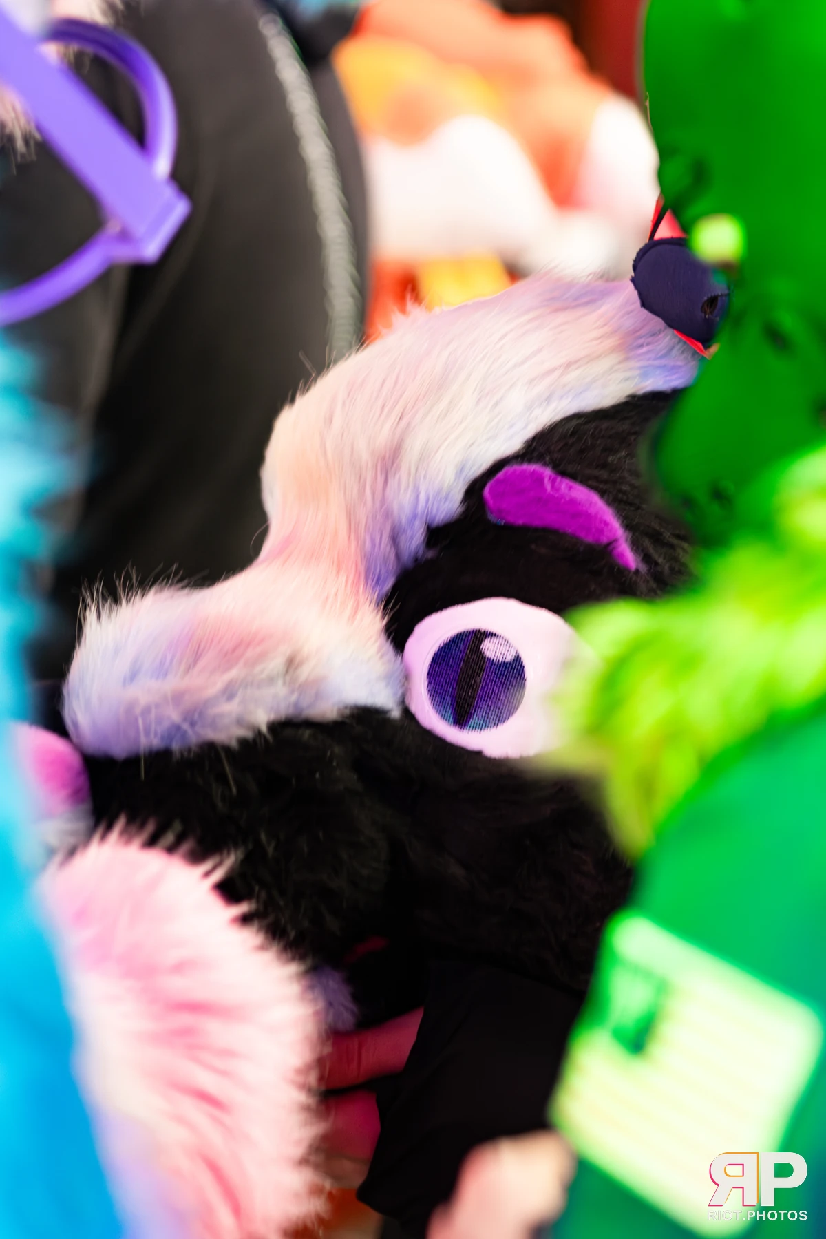 Pup Bismuth — furry & pup photography by Fluffy Riot — photo 3