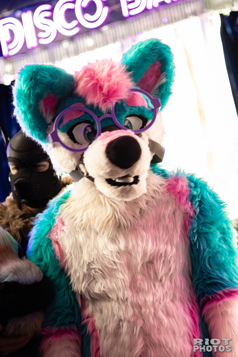 2026-02-14 MancFurs-202602-006.jpg