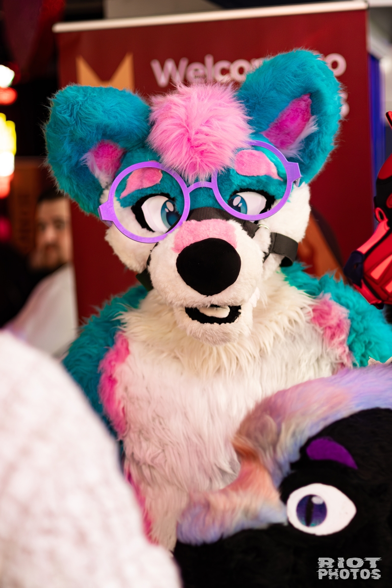 2026-02-14 MancFurs-202602-007.jpg