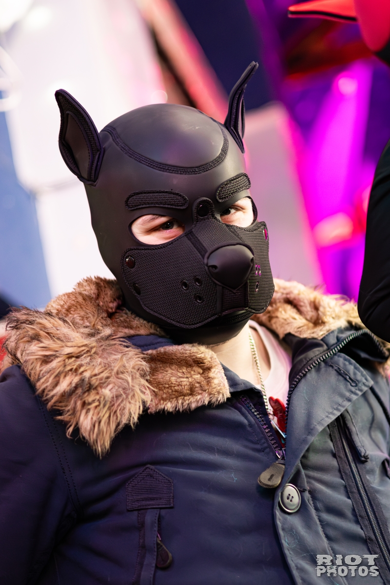 2026-02-14 MancFurs-202602-008.jpg