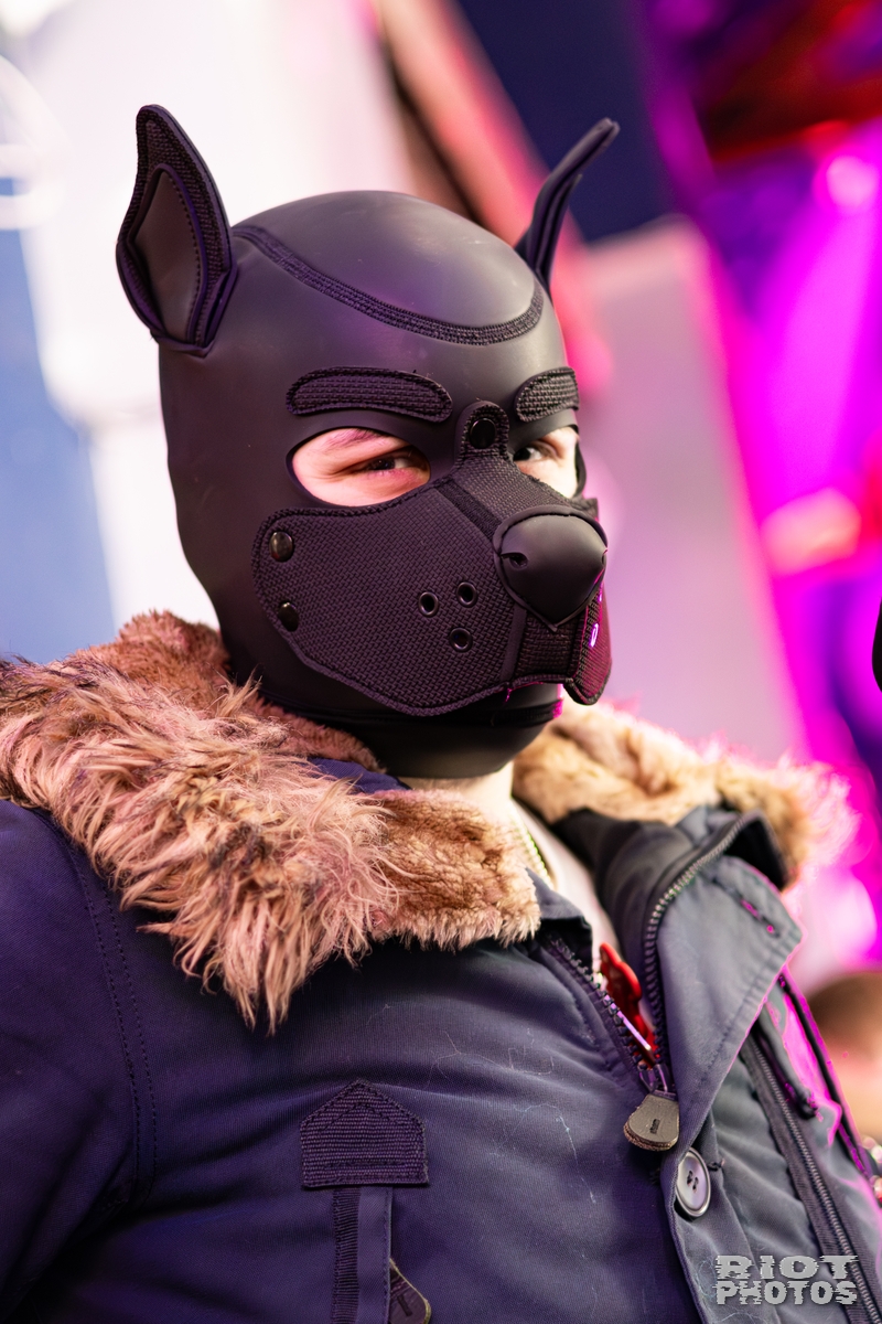 2026-02-14 MancFurs-202602-009.jpg