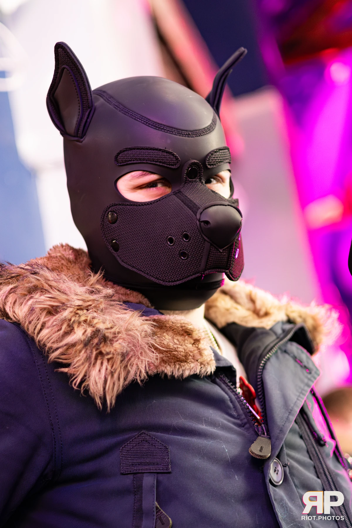 King Yeena — furry & pup photography by Fluffy Riot — photo 88