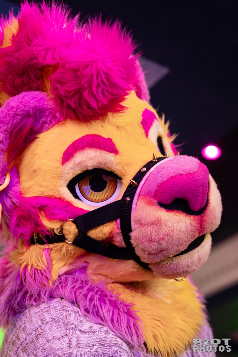 2026-02-14 MancFurs-202602-010.jpg