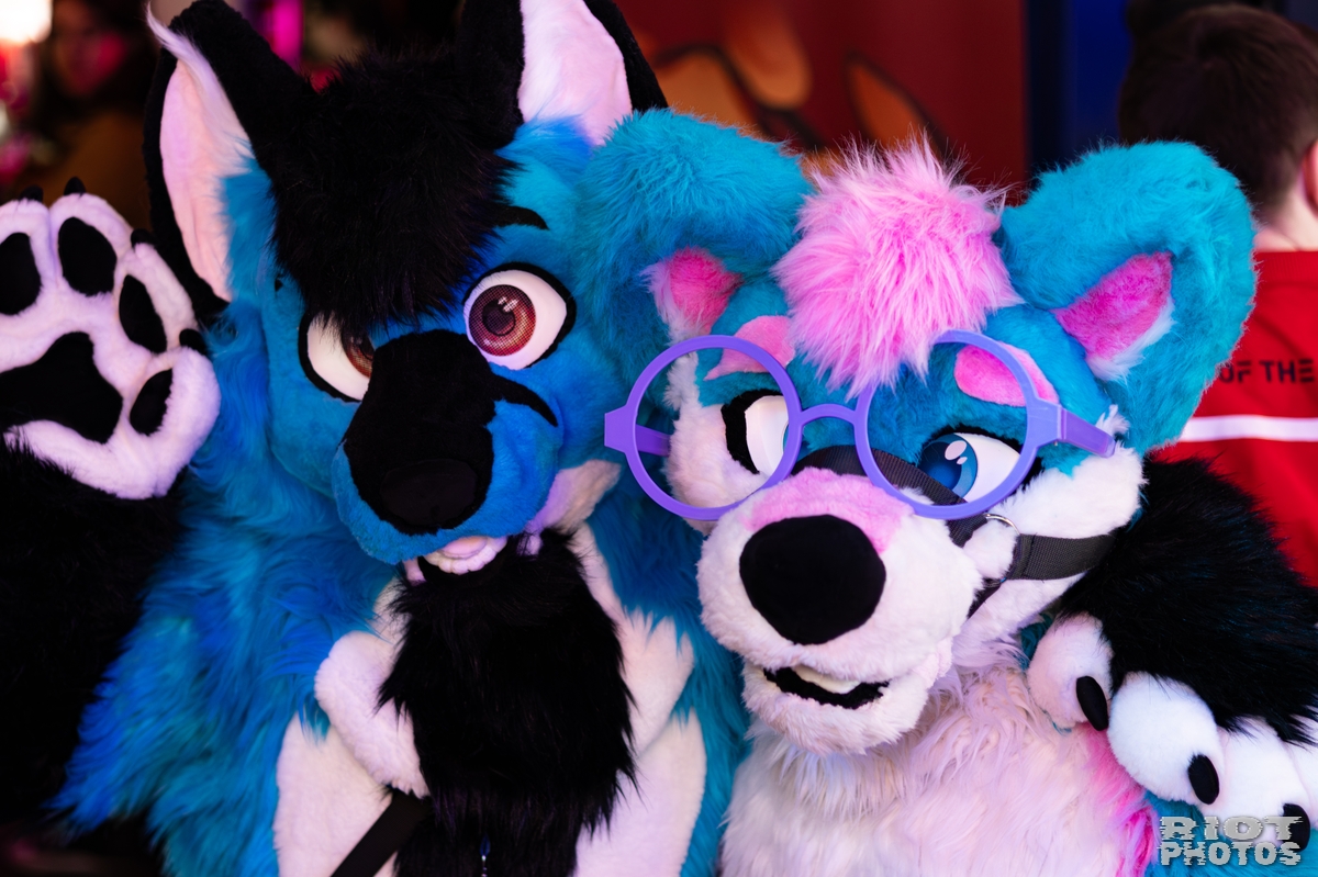 2026-02-14 MancFurs-202602-012.jpg