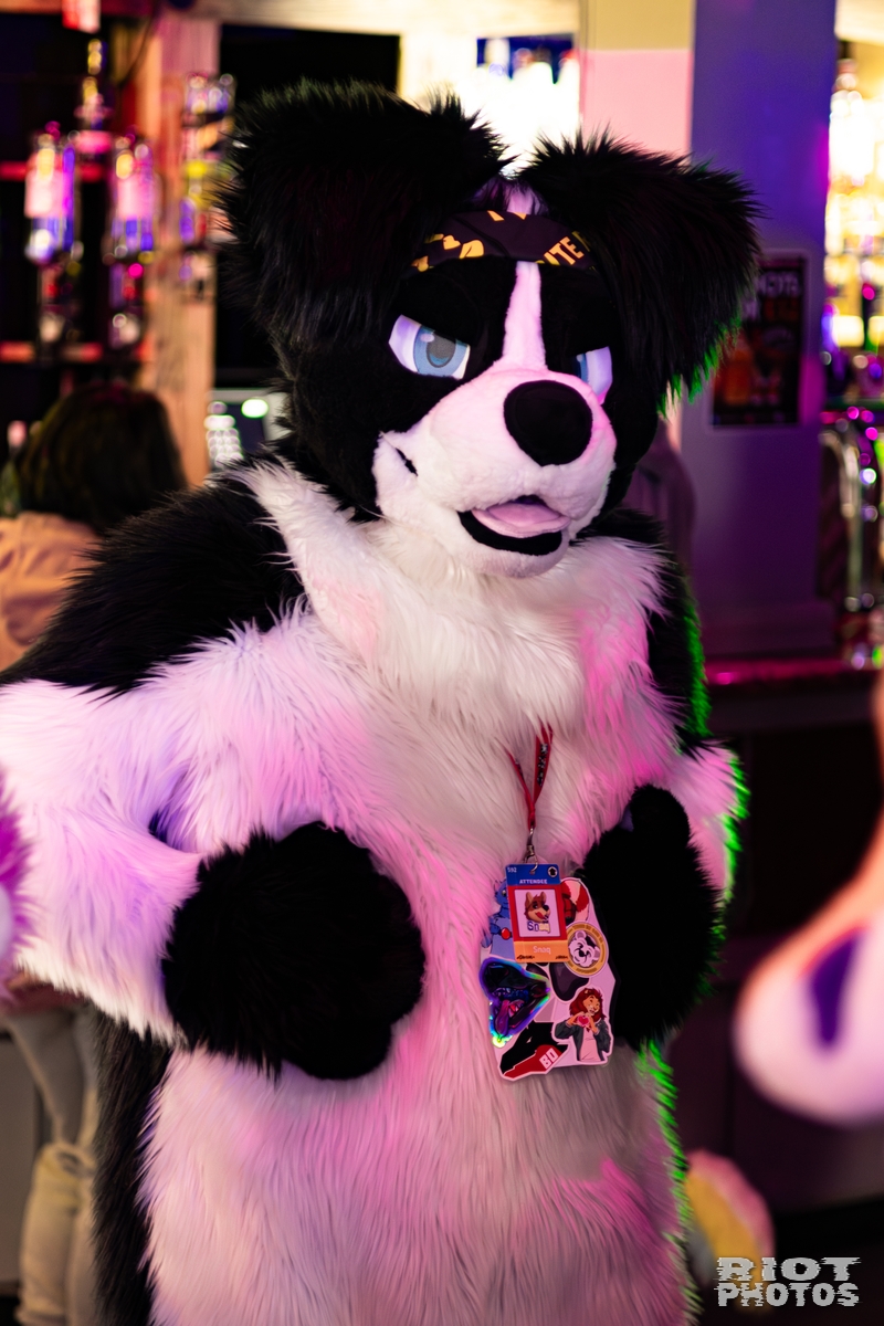 2026-02-14 MancFurs-202602-014.jpg