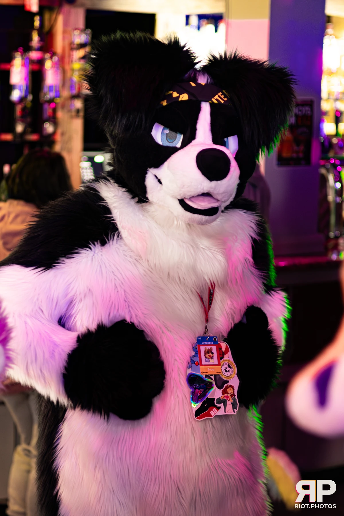 MancFurs - February, 2026 — 14 Feb 2026, Fluffy Riot photography — photo 14