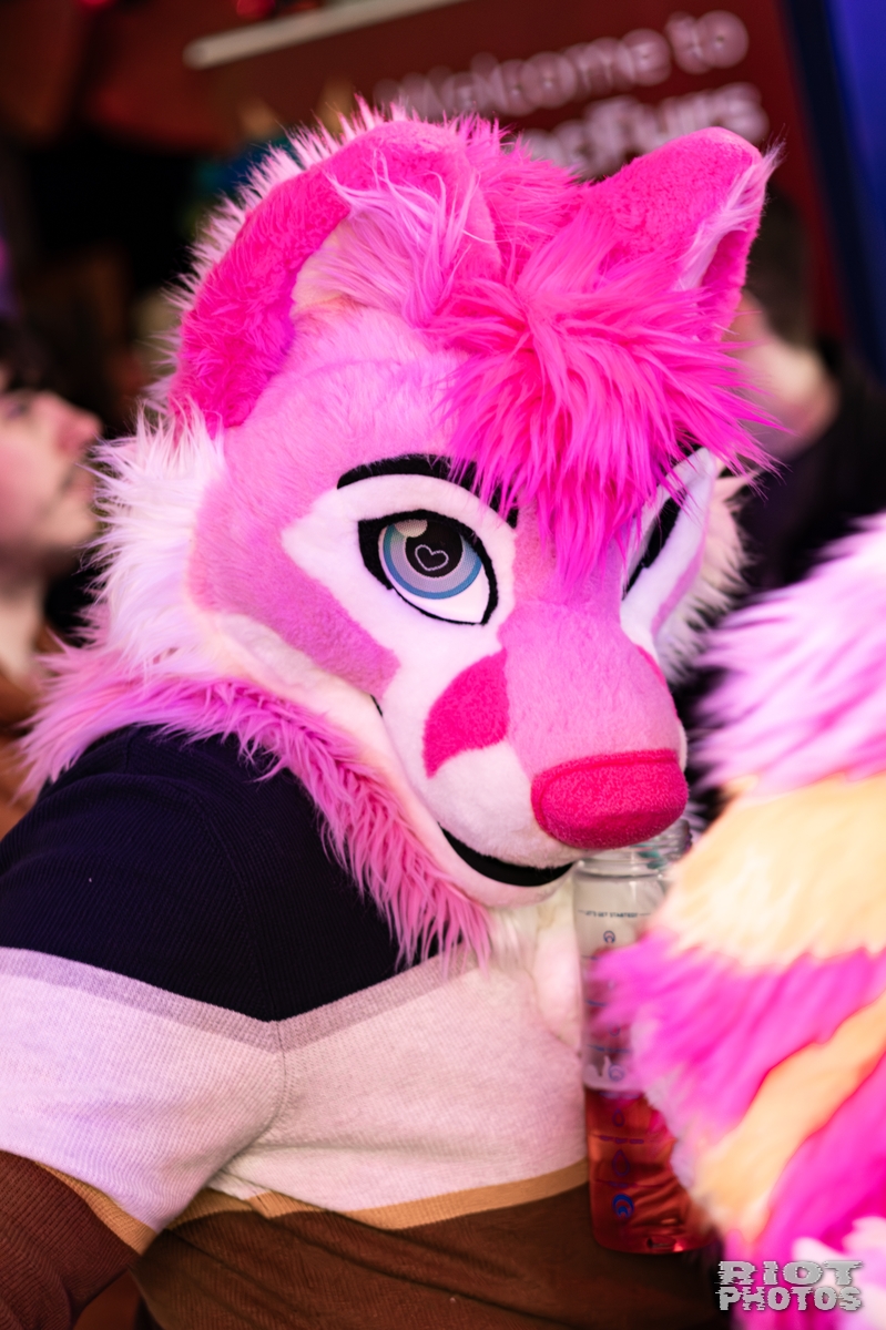 2026-02-14 MancFurs-202602-015.jpg