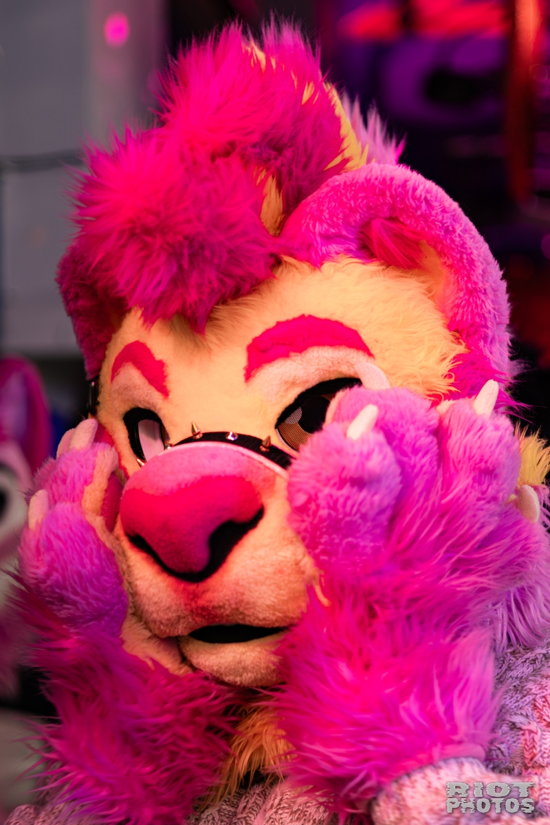 2026-02-14 MancFurs-202602-016.jpg