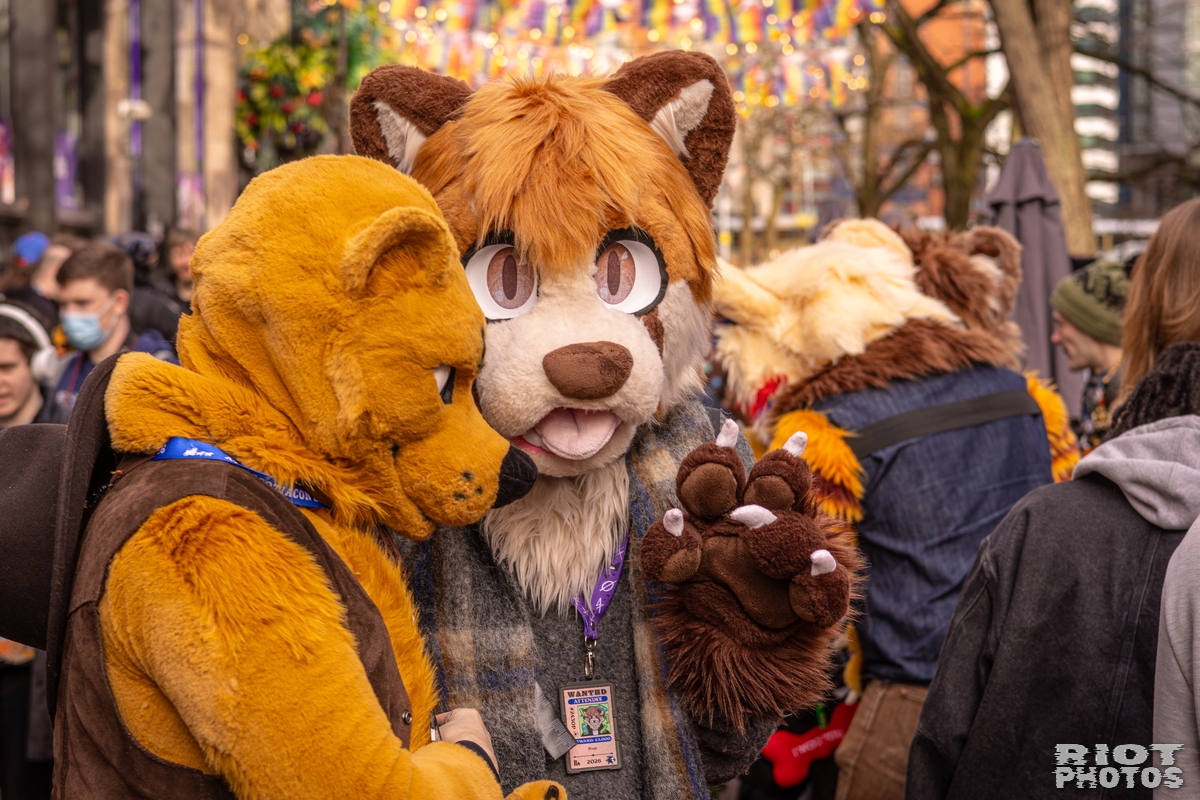 2026-02-14 MancFurs-202602-018.jpg