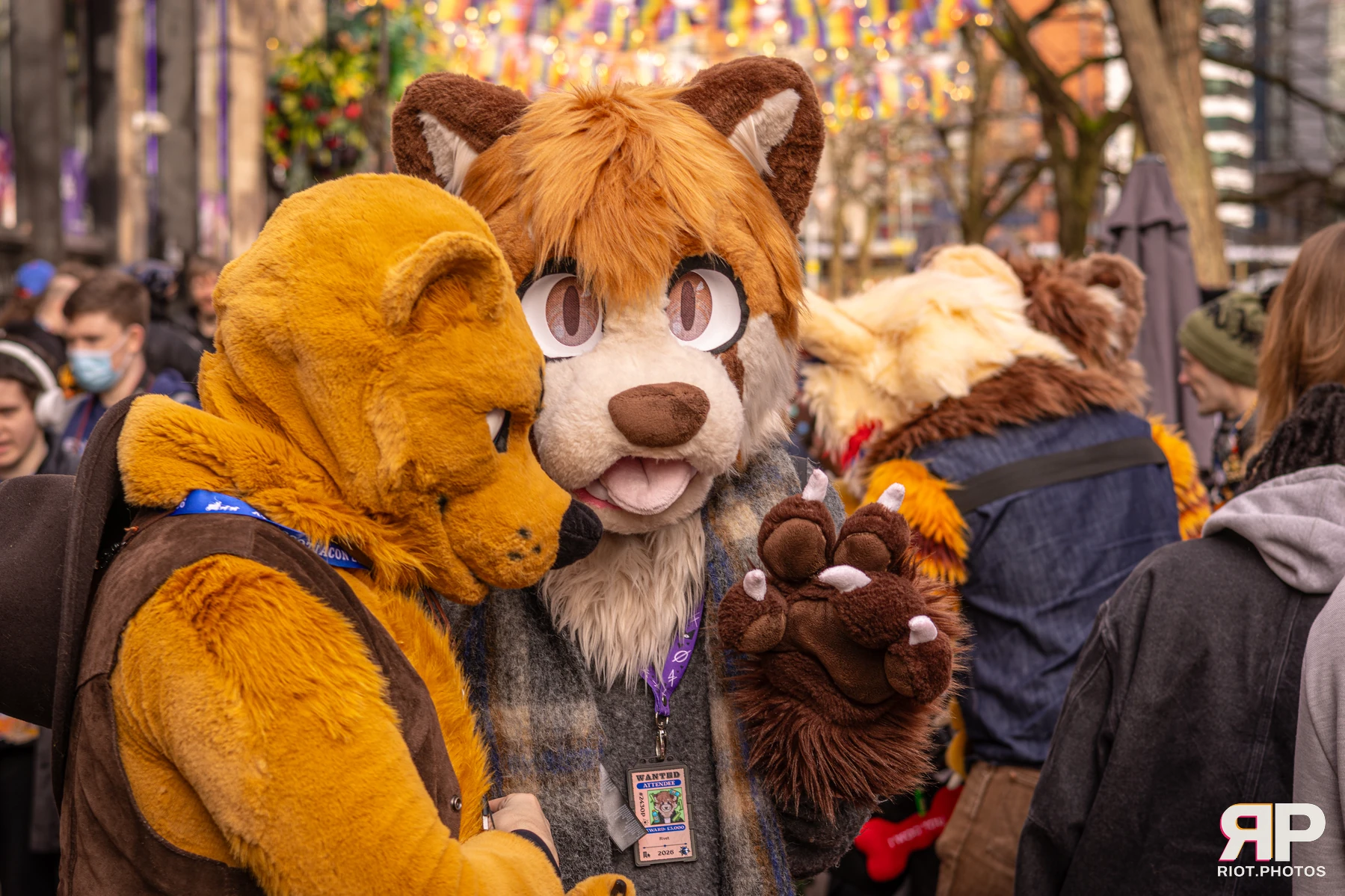 MancFurs - February, 2026 — 14 Feb 2026, Fluffy Riot photography — photo 18