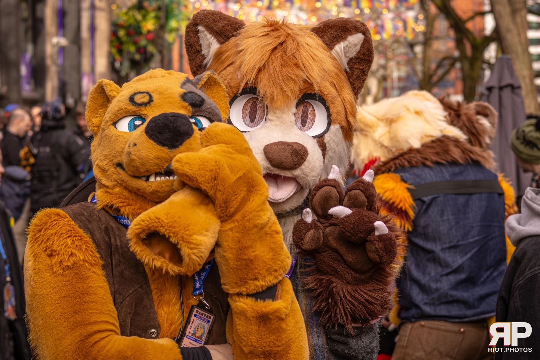 MancFurs - February, 2026 — 14 Feb 2026, Fluffy Riot photography — photo 19
