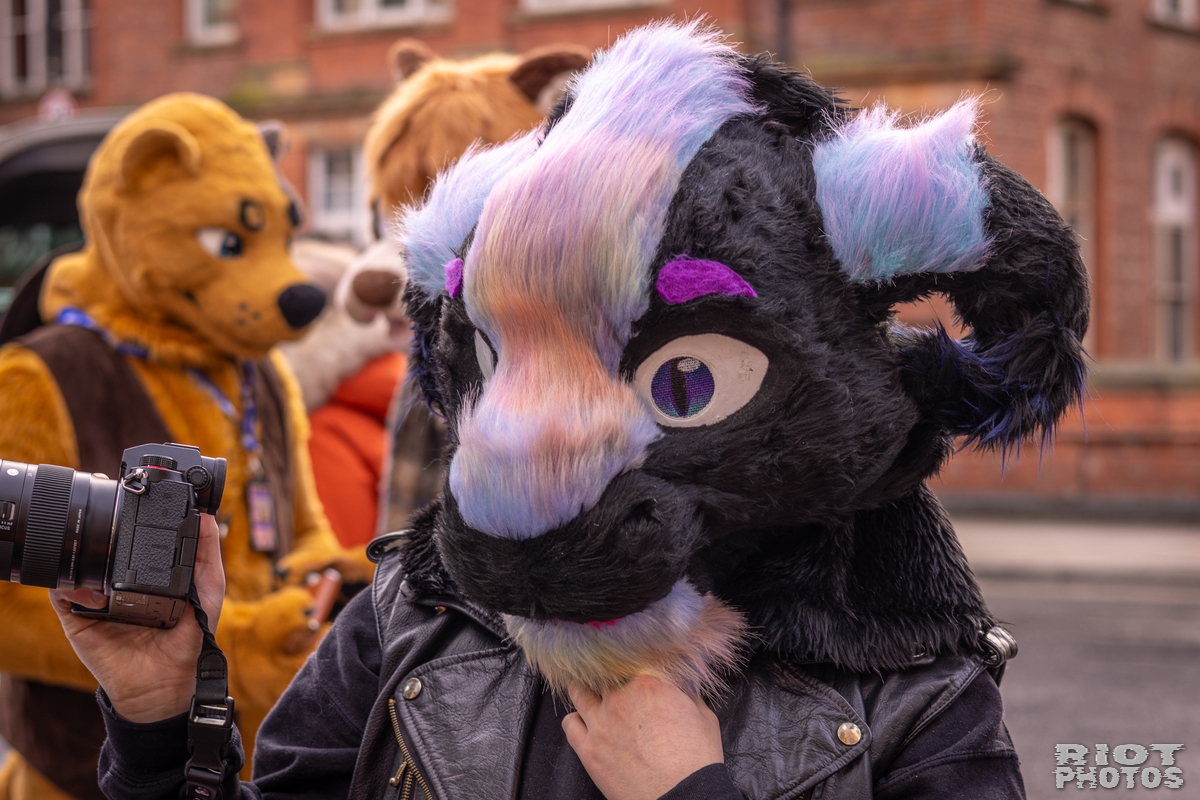 2026-02-14 MancFurs-202602-021.jpg