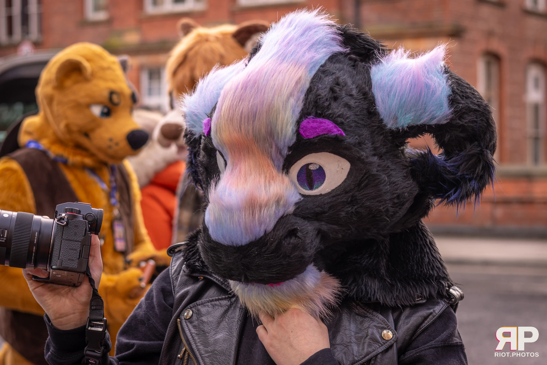 Pup Bismuth — furry & pup photography by Fluffy Riot — photo 6