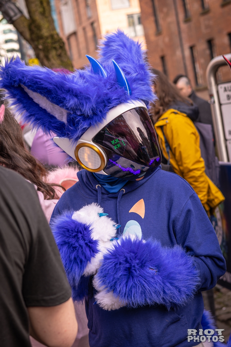 2026-02-14 MancFurs-202602-022.jpg