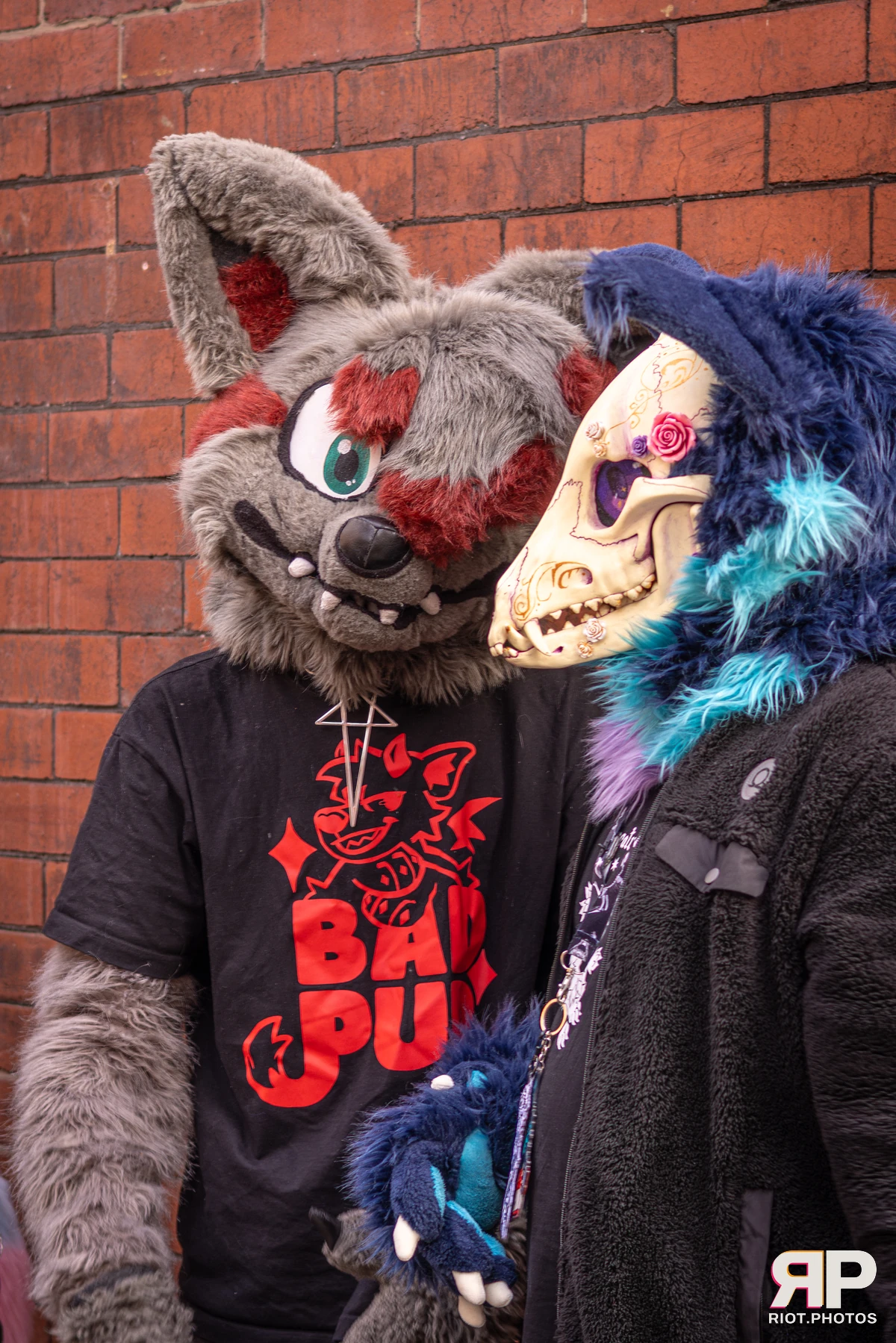 MancFurs - February, 2026 — 14 Feb 2026, Fluffy Riot photography — photo 23